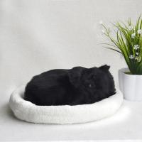 布偶玩偶公仔假会呼吸的小猫咪毛具生日礼物仿真猫猫动物摆件|呼吸纯黑猫TY050