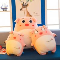 可爱卡通抱枕表情猪大号公仔少女心毛具睡觉枕头生日礼物女生