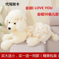 贵宾犬泰迪毛具趴趴小狗狗公仔玩偶布娃娃儿童女生日结婚礼物