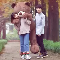 熊熊毛具泰迪熊玩偶床上布娃娃公仔儿童生日礼物抱枕女生可爱