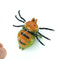 儿童拉线玩具瓢虫蜜蜂皮皮虾乌龟金鱼兔子小鸟宝宝拖拉学步小玩具|*拉线小蜘蛛*随机1只装