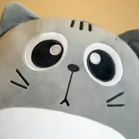 龙猫公仔毛具睡觉抱枕可爱玩偶布娃娃生日礼物女生ins少女心
