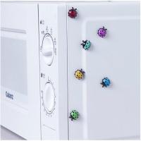 6个装立体瓢虫冰箱贴磁贴微波炉磁性贴留言磁贴黑板写字板磁力贴|5盒30个装