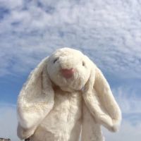 邦尼兔玩偶毛具可爱兔布娃娃挂件玩具兔子公仔生日礼物女