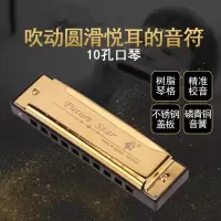 布鲁斯口琴10孔全音阶c调成人儿童初学者十孔专业演奏乐器不锈钢
