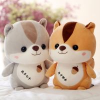 ins可爱小松鼠毛具公仔女生玩偶儿童情侣生日礼物可文字