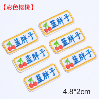名字贴刺绣幼儿园儿童姓名贴可缝学生衣服宝宝入学定做防水洗标签