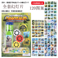 儿童手电筒动物图案投影灯小孩玩具男女孩龙早教发光不伤眼投影仪