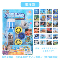 儿童手电筒动物图案投影灯小孩玩具男女孩龙早教发光不伤眼投影仪