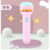 泉氏投影手电筒儿童早教识图玩具发光动物图案手电哄睡讲故事玩具