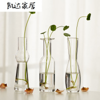 创意北欧 小小迷你花瓶玻璃透明花器 桌面阳台水培插花工艺品摆设 精选特买