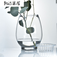 欧式创意恐龙蛋花瓶 透明玻璃花瓶 简约水培绿萝花卉植物玻璃器皿 精选特买