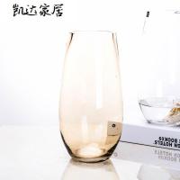 欧式时尚插花恐龙蛋造型花器 简约彩色玻璃花瓶 客厅装饰品摆件 精选特买