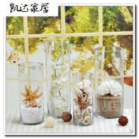 现代简约落地直筒透明玻璃花瓶 富贵竹水培 婚庆路引水晶花瓶 精选特买