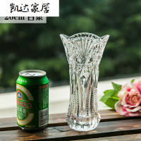 欧式加厚玻璃花瓶 透明大号水培花器富贵竹百合花插客厅餐桌摆件 精选特买