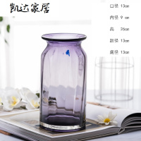 欧式简约彩色玻璃花瓶 富贵竹仿真花干花花瓶 客厅装饰摆件 精选特买