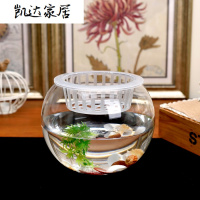 简约客厅花瓶 透明玻璃鱼缸圆球花瓶 金鱼缸 水培绿萝铜钱花器 精选特买