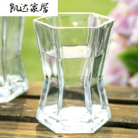 西贝方口小款透明玻璃花瓶 客厅卧室书房插花玻璃花器摆件 精选特买