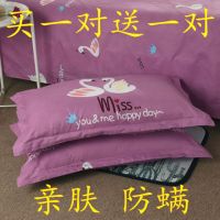 枕套一对斜纹加厚枕头套单人枕套双人枕芯套学生宿舍枕头套一对装