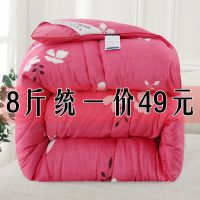 [清仓]被子冬被加厚保暖被芯冬季棉被春秋被单双人学生宿舍被褥