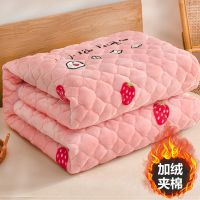 珊瑚绒床单单件加绒保暖毛毯绒毯毛绒法兰绒冬季加厚床垫铺床毯子