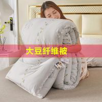 大豆纤维冬被加厚保暖印花被子被芯自然亲肤面料贴身暖芯被褥床品