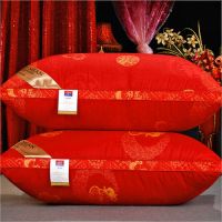 枕头芯套装一对枕头带枕套单双人不变形酒店成人家用学生枕芯内胆