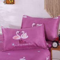 枕套枕头套成人一对装大号单人简约加厚学生宿舍枕皮枕芯套