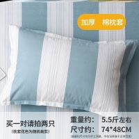 枕头可爱女生韩式加厚拆洗个性加长长方形少女心日式内胆潮流厚实