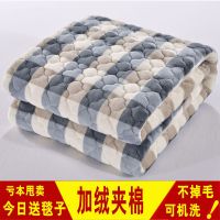 冬季加绒床单单件毛绒绒毛毛毯双人加厚珊瑚绒法兰绒铺床褥子床垫
