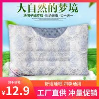 决明子磁石荞麦枕芯一只装一对装枕头枕芯保健枕枕芯枕套套装