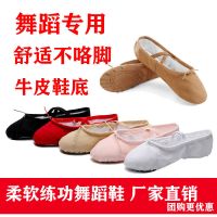 成人幼儿童舞蹈鞋女童软底练功男形体猫爪跳舞瑜伽民族中国芭蕾舞