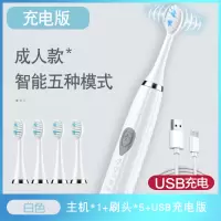 日常防水电动牙刷超声波震动智能软毛便携充电护齿深度清洁|白色-5档(5刷头)USB充电款