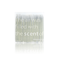 果汁漱口水便携式一次性漱口水儿童条装漱口水除口臭口气|绿豆冰沙(条装20*12ml) 12m