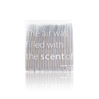 果汁漱口水便携式一次性漱口水儿童条装漱口水除口臭口气|焦糖咖啡(条装20*12ml) 12m