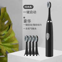 电动牙刷成人家用情侣细毛充电式超声波防水自动美白牙刷|经典黑电池款（5个刷头）