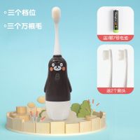 儿童电动牙刷万根软毛小孩学生男女宝可爱2-12岁防水|棕熊[三档调节3个万根毛刷头]