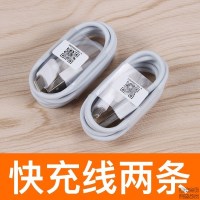 小米8A手机充电器小米6/8/5s/mix2s快充头快充qc3.0电池18w数据线 小米type-c快充线2条