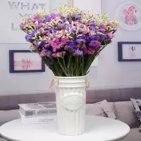 半个许仙云南满天星干花花束装饰摆件干花客厅摆设鲜花家居真花勿忘我插花 七彩超大束不含花瓶