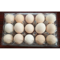 半个许仙10枚中号通用款塑料鸡蛋托盘一次性鸡蛋拖鸡蛋包装盒防震加厚 15个装鸡蛋盒100个