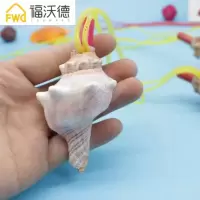 天然海螺口哨大海螺响螺号海螺贝壳工艺品创意儿童玩具螺吹 特大18CM