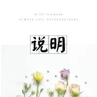 仿真绿植塑料薰衣假花满天星水泥盆栽摆件装饰办公室餐桌花摆花 白色莫凡玫小白竹