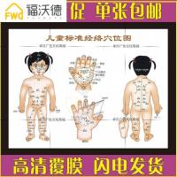 高清标准儿童经络穴位挂图 小儿推拿海报墙贴展板高清定制 相纸 100寸