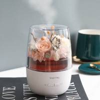永生花礼盒 玫瑰熊摆件香薰机加湿器送女友520情人节保鲜花盒 香薰加湿器永生花&mdash;香槟色(赠2瓶香熏液