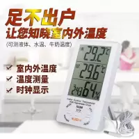 温度计室内温湿度计家用外探头精准干湿表高精度温度计工厂花园爬虫