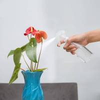 透明塑料瓶化妆分装样品瓶细雾补水浇花酒精小瓶小喷壶瓶