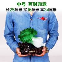 遨赏百财如意翡翠玉大白菜摆件客厅店铺饭店乔迁开店送礼开业礼品 特大号百财如意