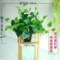 仿真绿植植物盆栽绿萝塑料假花客厅挂壁盆景摆放装饰摆件花艺 带尖绿萝2束带黑盆