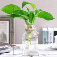 大号玻璃水培植物花瓶花盆透明恐龙蛋绿萝富贵竹水养鱼缸器皿容器 单个彩色吊瓶+铁架(颜色随机】