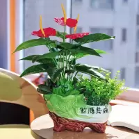 假树仿真植物发财树假树盆栽假花红掌客厅办公装饰摆设盆景 新白菜苍兰鸿运当头套装